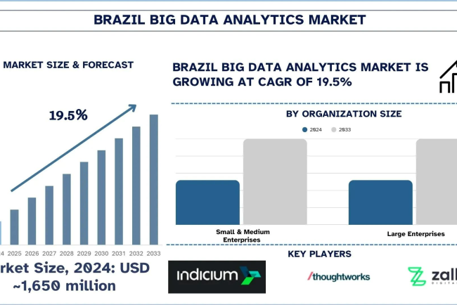 Brazil Big Data Analytics Market Analysis by Share, Trends & Forecast Report, 2033 | UnivDatos