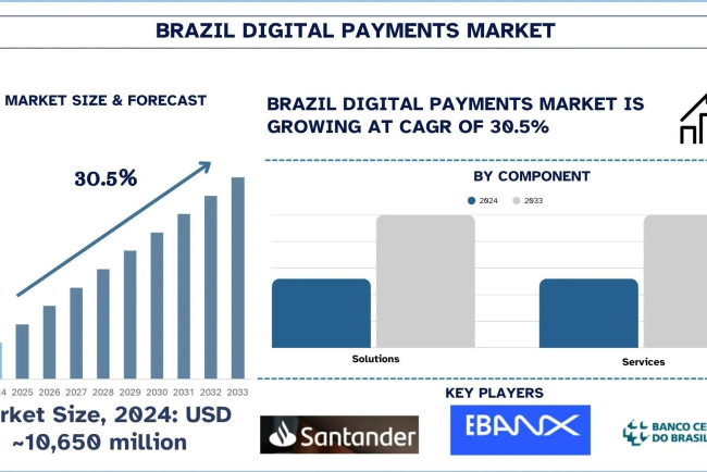 Brazil Digital Payments Market Analysis by Share, Trends & Forecast Report, 2033 | UnivDatos
