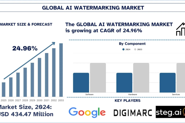 AI Watermarking Market Size, Growth, Trends, Forecast (2025-2033)