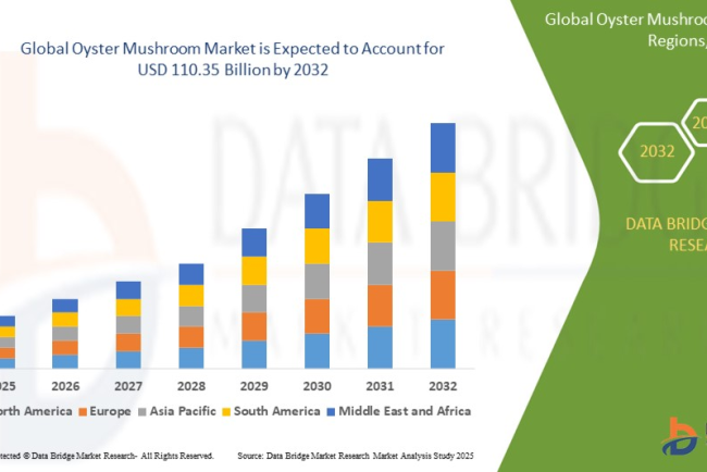Oyster Mushroom Market – Functional Foods, Organic Cultivation & Global Consumption Trends