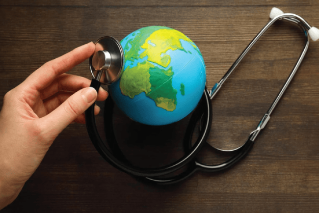 International Cooperation for Snakebite Risk Expansion and Health Response