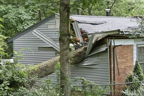 Reliable Storm Damage Cleanup Ewing NJ for Homes and Businesses