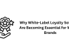 Why White-Label Loyalty Solutions Are Becoming Essential for Modern Brands