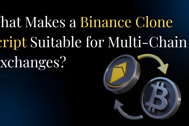 What Makes a Binance Clone Script Suitable for Multi-Chain Exchanges?
