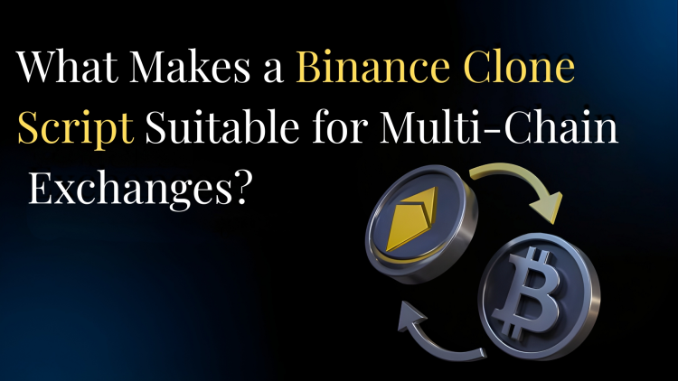 What Makes a Binance Clone Script Suitable for Multi-Chain Exchanges?