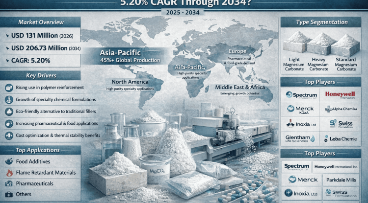 Which Are Top 10 Companies Driving Global Magnesium Carbonate Basic Market at a 5.20% CAGR Through 2034?
