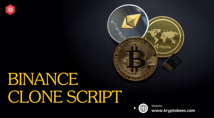 Binance Clone Script with Robust API and Liquidity Management