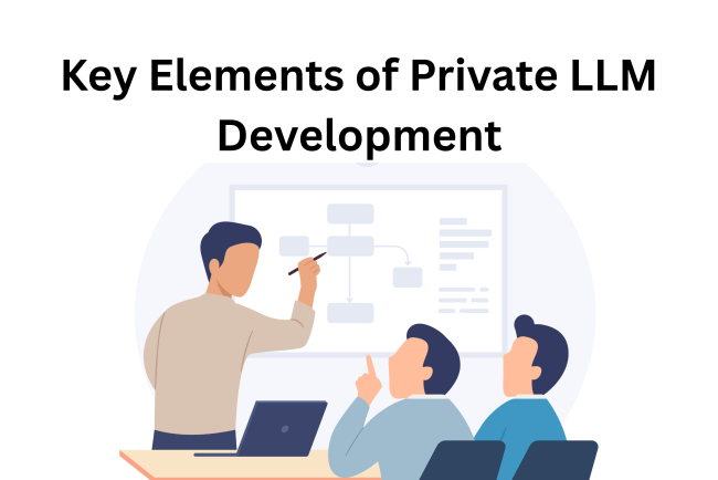 Key Elements of Private LLM Development
