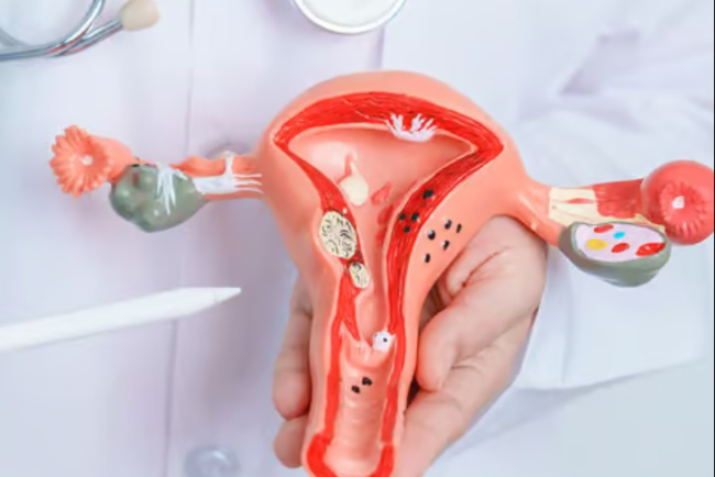 Premature Ovarian Failure Treatment in Dubai: Personalized Premature Ovarian Failure Treatment in Dubai